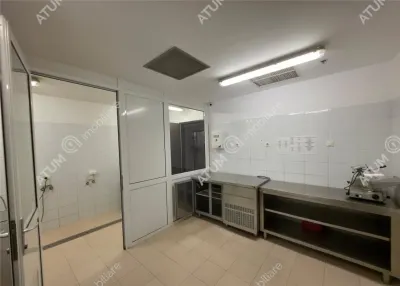 Spațiu comercial Sibiu - poza 19