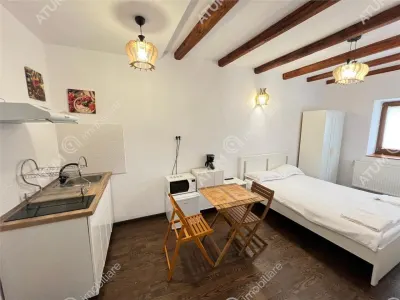 Casă 2 camere Sibiu - poza 13
