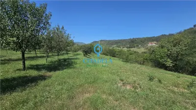 Teren Alba Iulia - poza 3