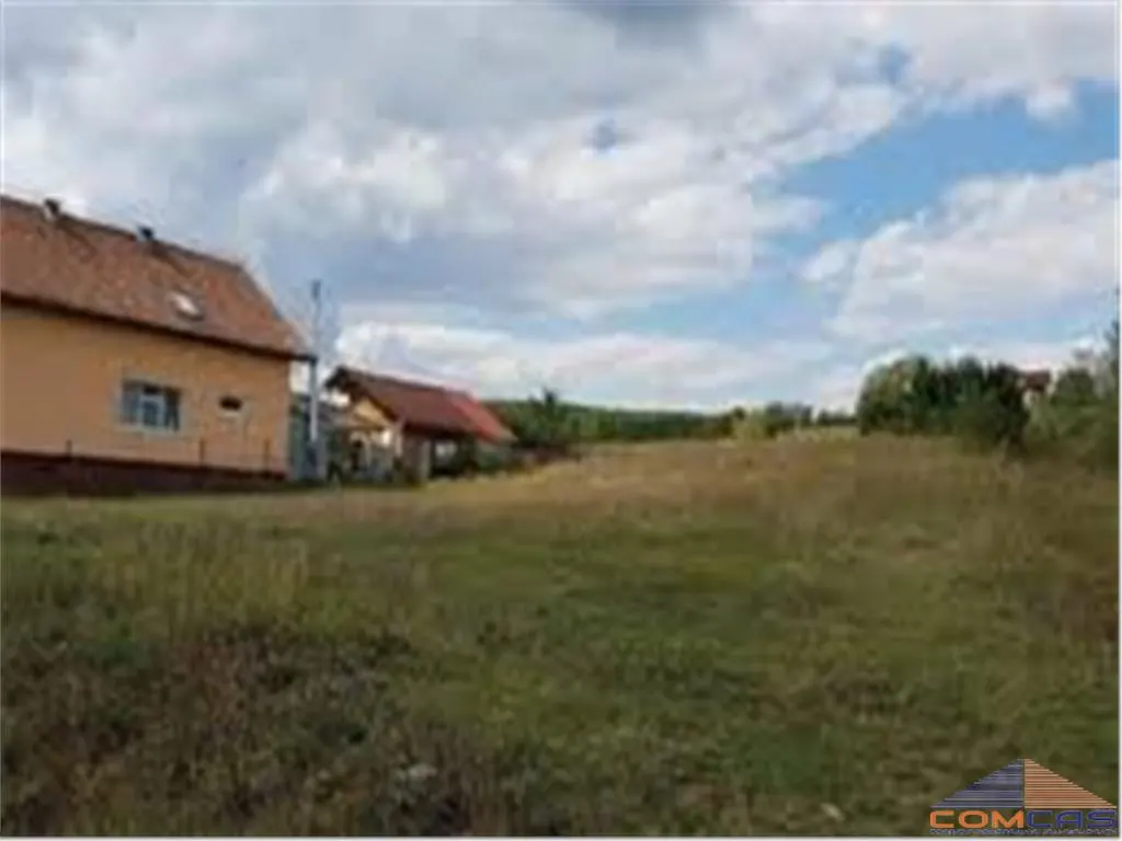 Teren Viile Satu Mare - poza 1