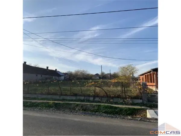 Teren Viile Satu Mare - poza 2