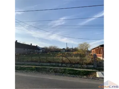 Teren Viile Satu Mare - poza 2