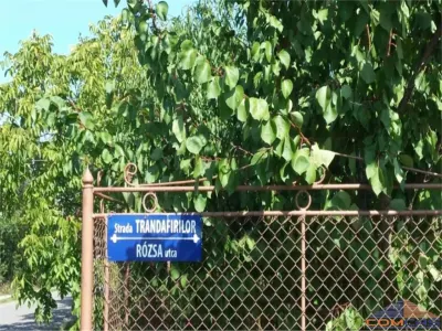 Teren Viile Satu Mare - poza 1