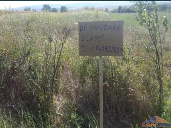 Teren Viile Satu Mare - poza 2