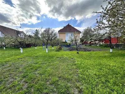 Casă 10 camere Târgu Neamț - poza 6