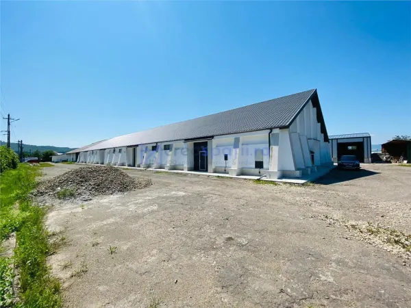 Spațiu industrial Târgu Neamț - poza 11