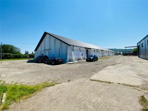 Spațiu industrial Târgu Neamț - poza 17