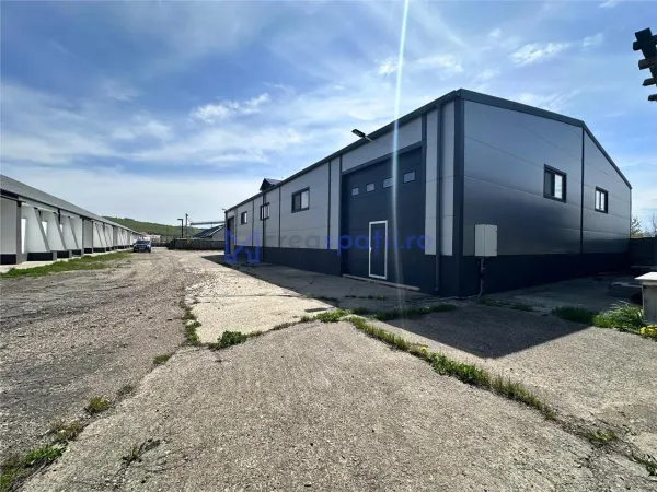 Spațiu industrial Târgu Neamț - poza 18