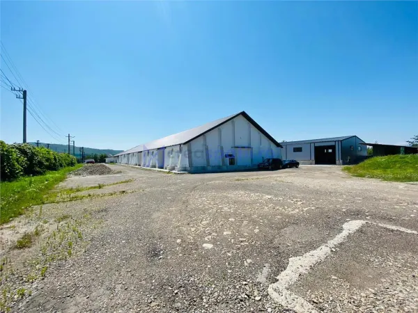 Spațiu industrial Târgu Neamț - poza 3