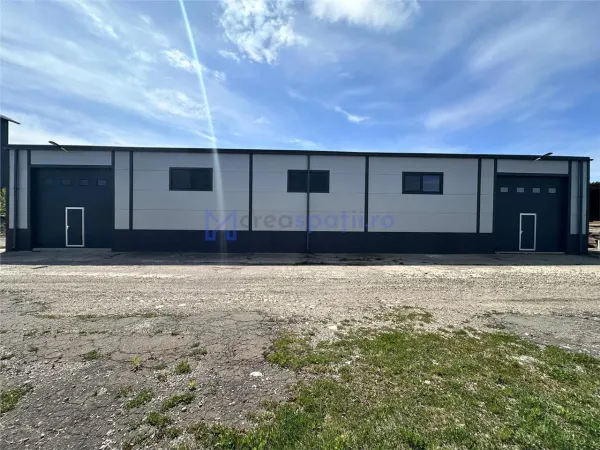 Spațiu industrial Târgu Neamț - poza 5