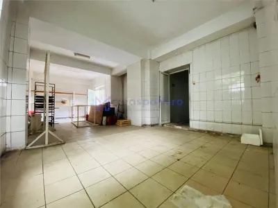 Spațiu industrial Podu Iloaiei - poza 8