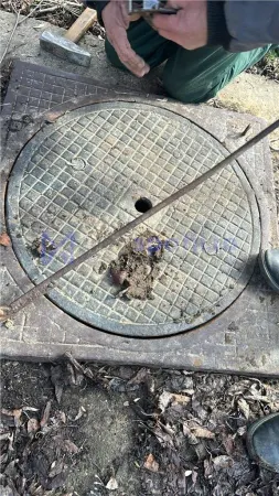 Spațiu industrial Ciohorani - poza 19