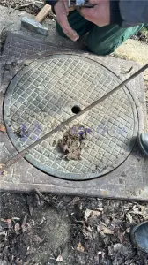 Spațiu industrial Ciohorani - poza 19