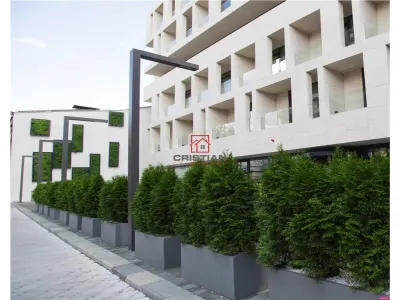 Birou București - poza 2
