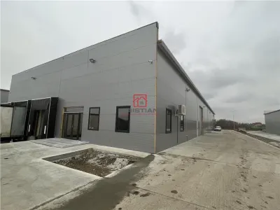 Spațiu industrial Chiajna - poza 22