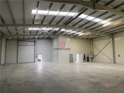 Spațiu industrial Chiajna - poza 24