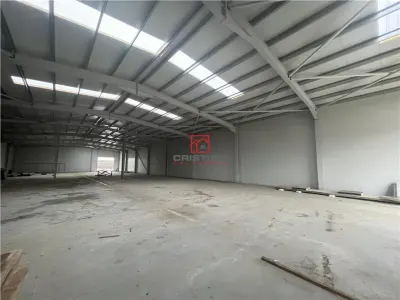 Spațiu industrial Chiajna - poza 28