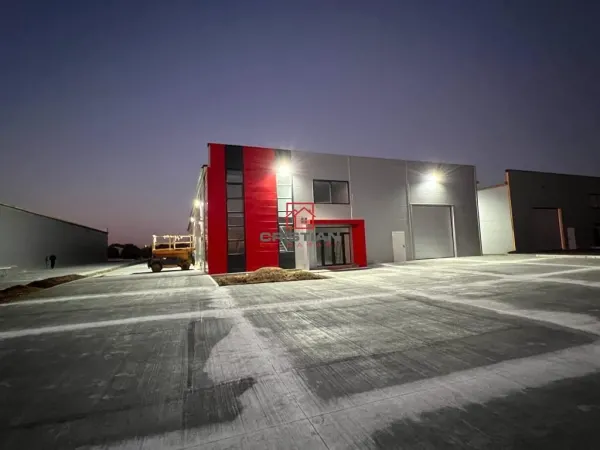 Spațiu industrial Chiajna - poza 5