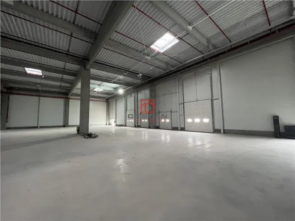 Spațiu industrial Ștefăneștii de Jos - poza 11