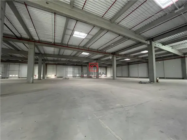 Spațiu industrial Ștefăneștii de Jos - poza 18