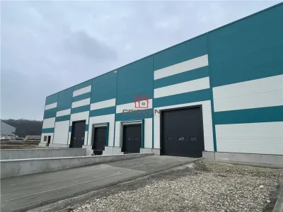 Spațiu industrial Ștefăneștii de Jos - poza 6