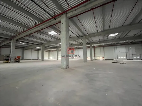 Spațiu industrial Ștefăneștii de Jos - poza 8