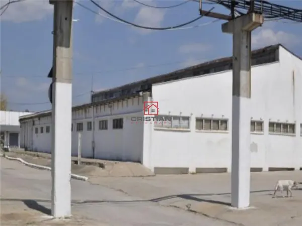 Spațiu industrial Popești-Leordeni - poza 4