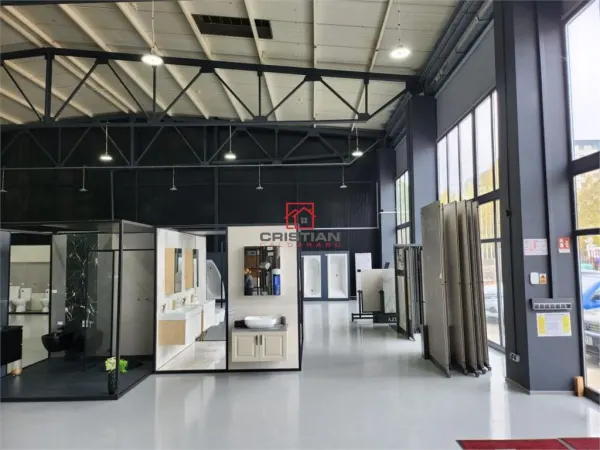 Spațiu industrial București - poza 7