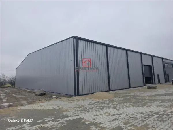 Spațiu industrial Mogoșoaia - poza 1