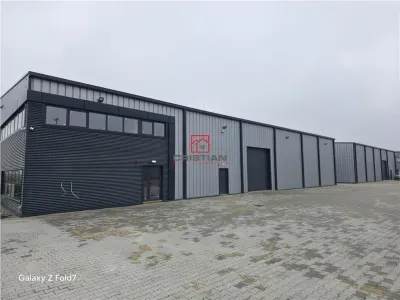 Spațiu industrial Mogoșoaia - poza 2