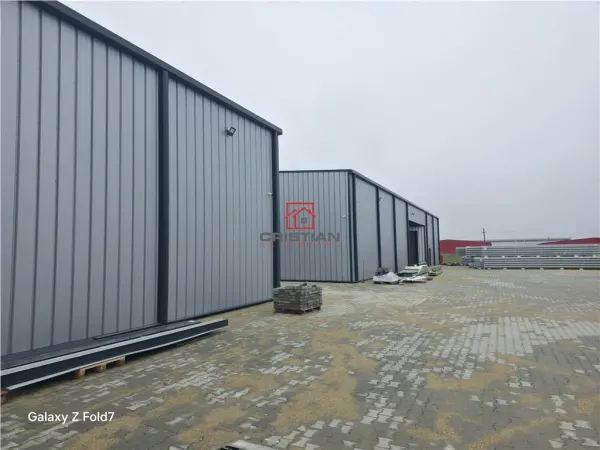 Spațiu industrial Mogoșoaia - poza 19
