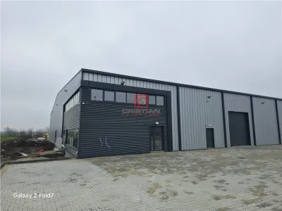 Spațiu industrial Mogoșoaia - poza 3