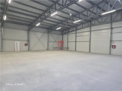 Spațiu industrial Mogoșoaia - poza 21