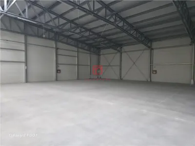 Spațiu industrial Mogoșoaia - poza 23