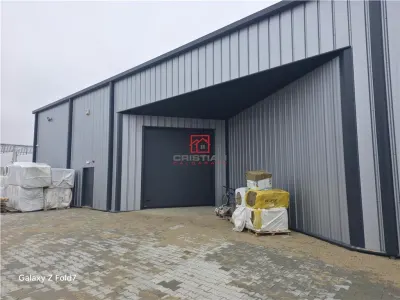Spațiu industrial Mogoșoaia - poza 5