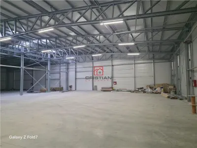 Spațiu industrial Mogoșoaia - poza 7