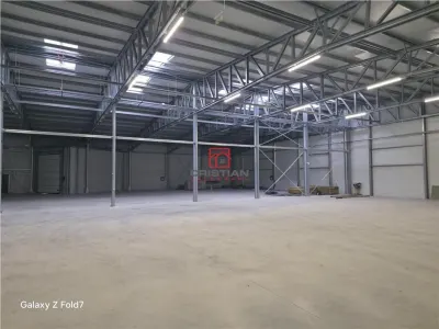 Spațiu industrial Mogoșoaia - poza 8
