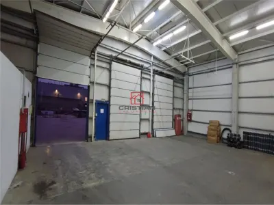 Spațiu industrial Chiajna - poza 8