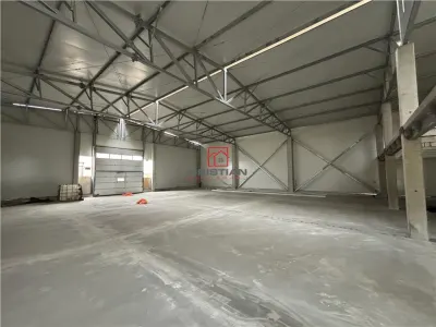 Spațiu industrial Măgurele - poza 4