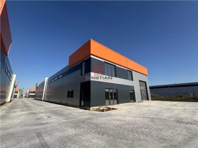 Inchiriere depozit/hala/spatiu industrial Chiajna - Centura, ILFOV - Chiajna