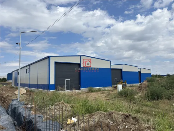 Spațiu industrial Ștefăneștii de Jos - poza 4