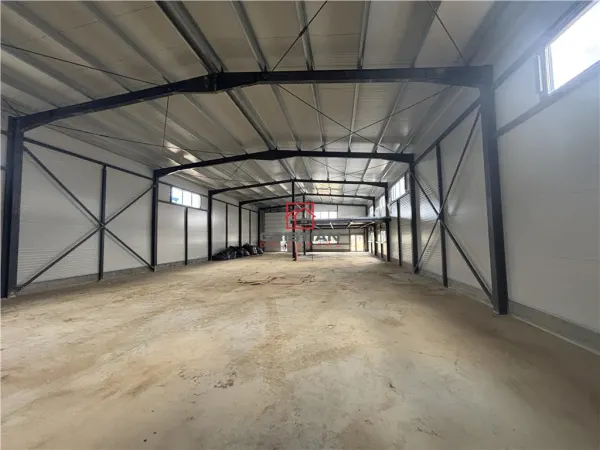 Spațiu industrial Ștefăneștii de Jos - poza 5