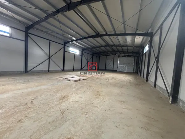 Spațiu industrial Ștefăneștii de Jos - poza 7
