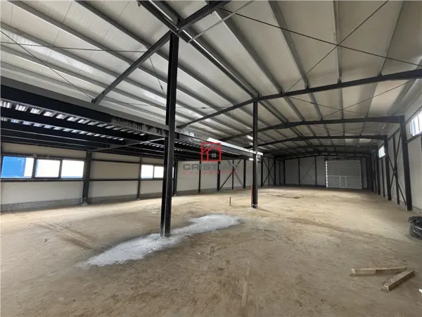 Spațiu industrial Ștefăneștii de Jos - poza 8