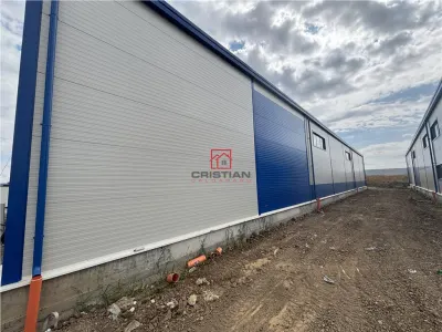Spațiu industrial Ștefăneștii de Jos - poza 9