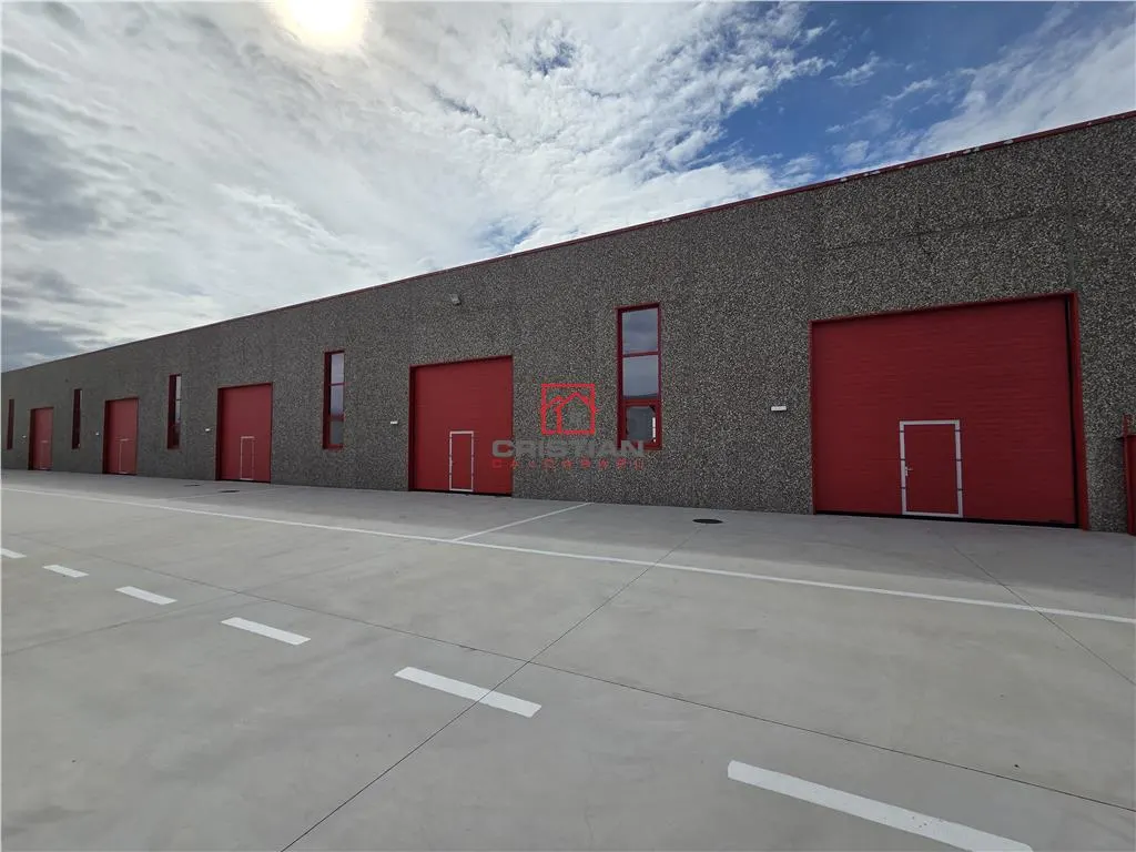 Spațiu industrial Chitila - poza 1