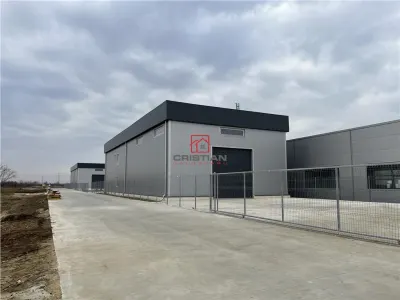 Spațiu industrial Chiajna - poza 2