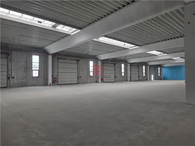 Vanzare depozit/spatiu industrial/hala Chitila - Rudeni, ILFOV - Chitila