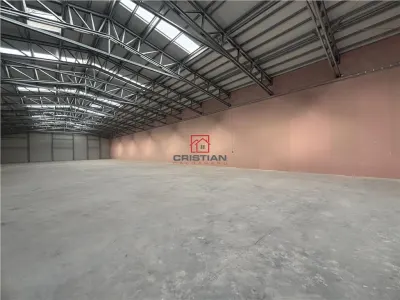 Spațiu industrial Buftea - poza 16