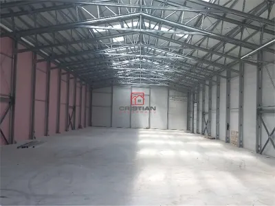 Spațiu industrial Buftea - poza 7